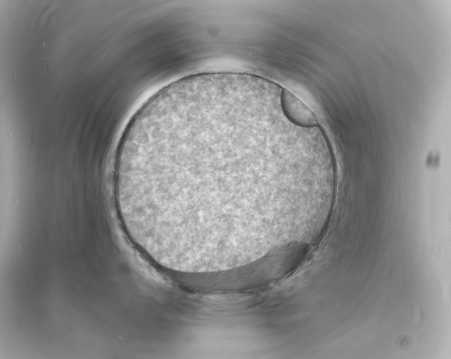 X0000093731008200711131033