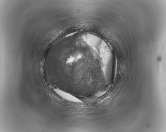 X0000093731010200711131032