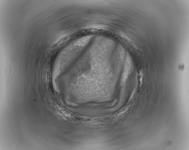 X0000093731014200711131032