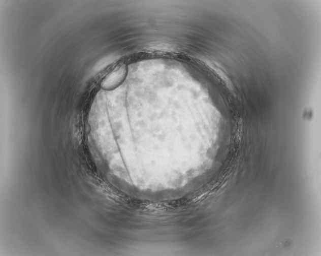 X0000093731015200711131032