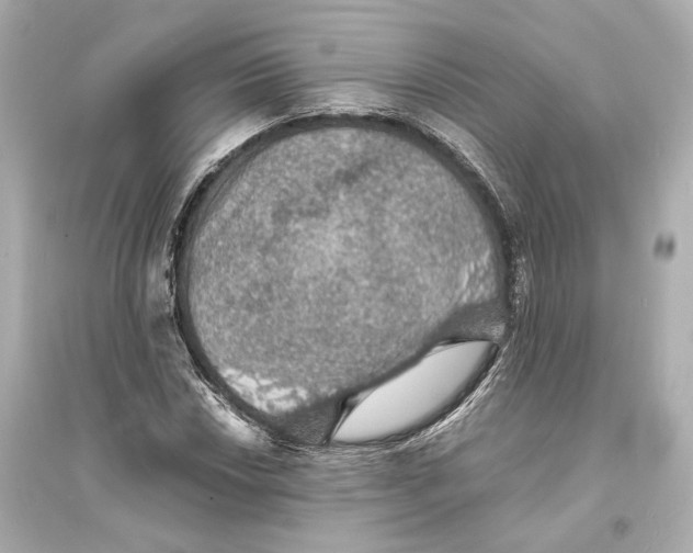 X0000093731018200711131033