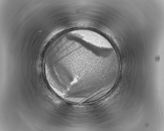 X0000093731019200711131033