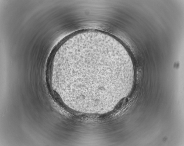X0000093731020200711131033