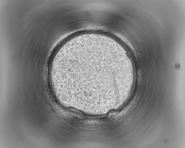 X0000093731021200711131033