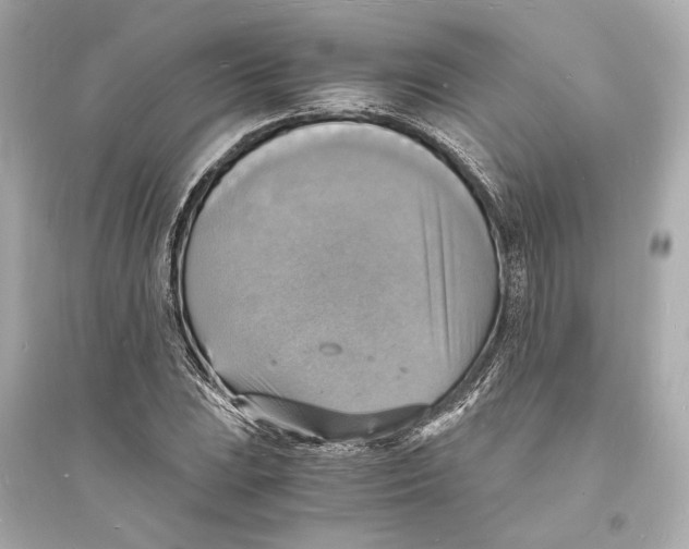 X0000093731023200711131033