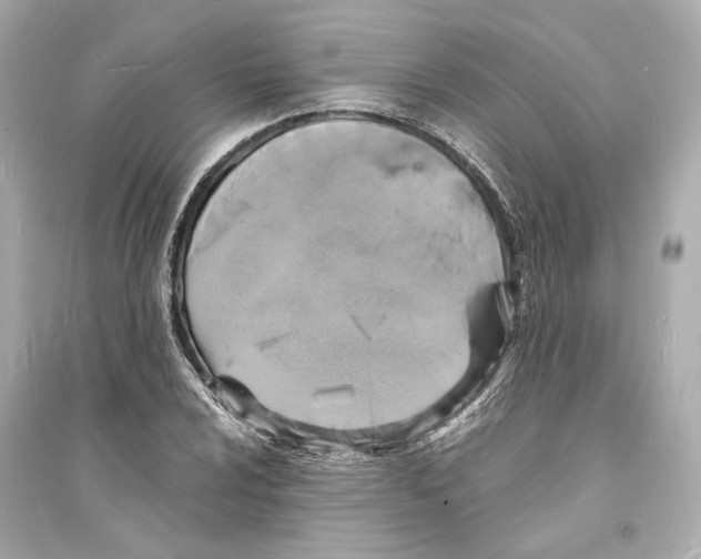 X0000093731024200711131033