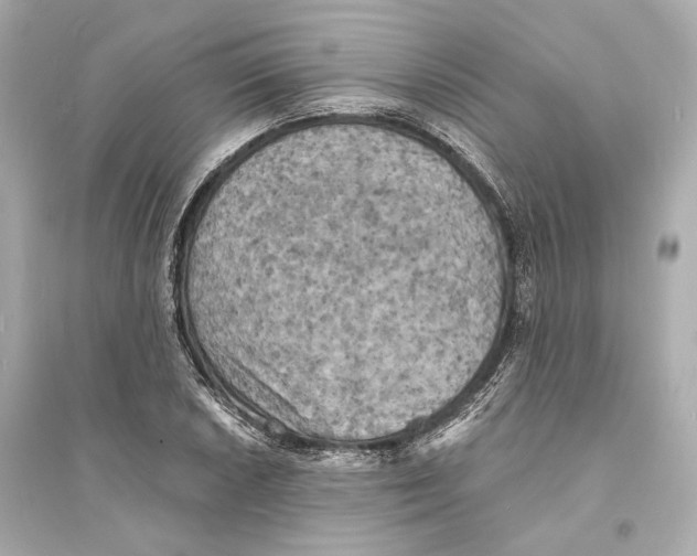 X0000093731026200711131033