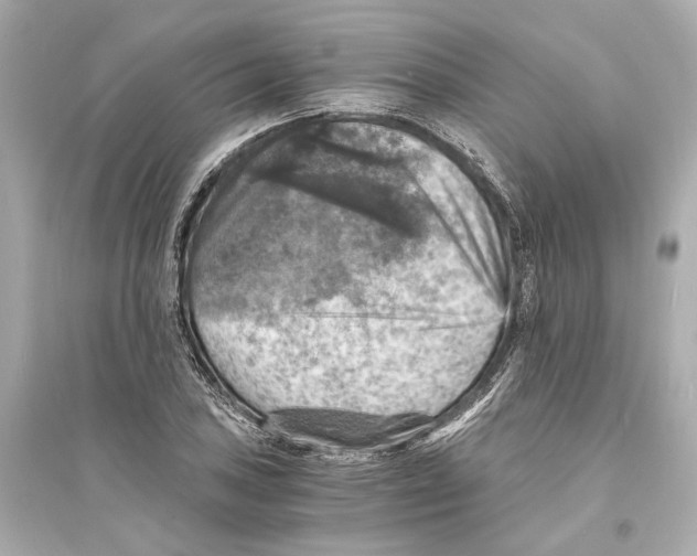 X0000093731027200711131033