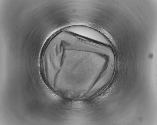 X0000093731028200711131033