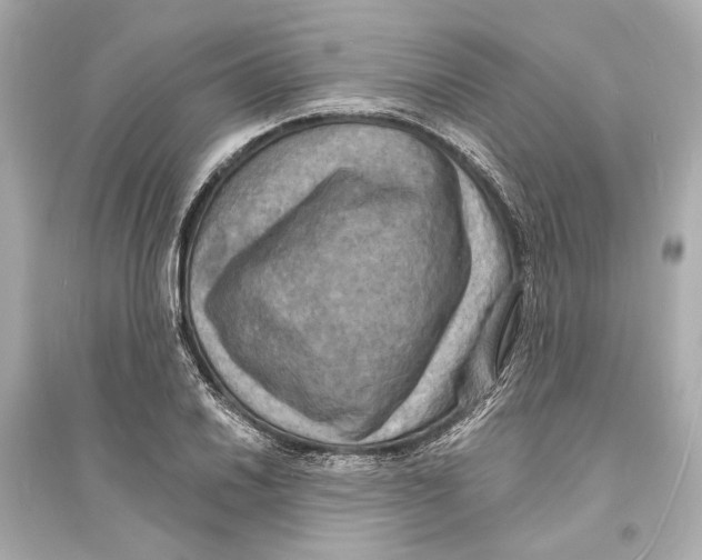 X0000093731030200711131033