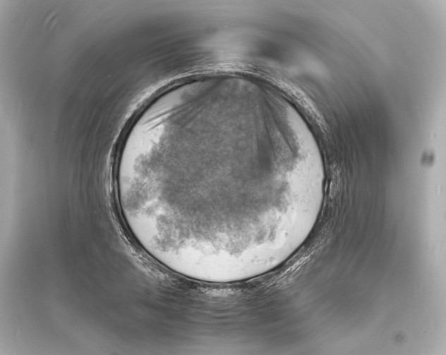 X0000093731031200711131033