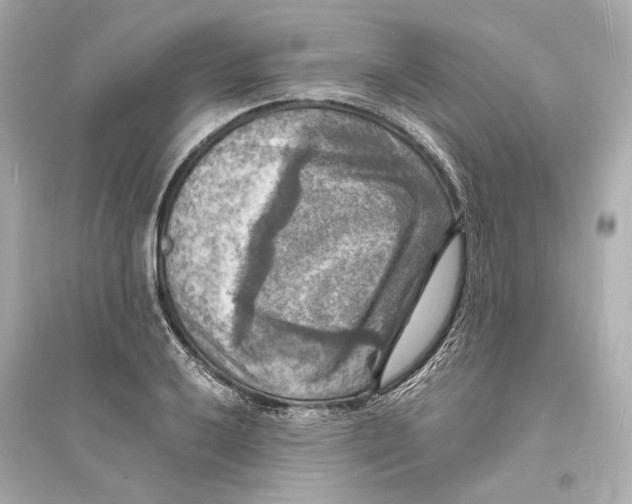 X0000093731032200711131033
