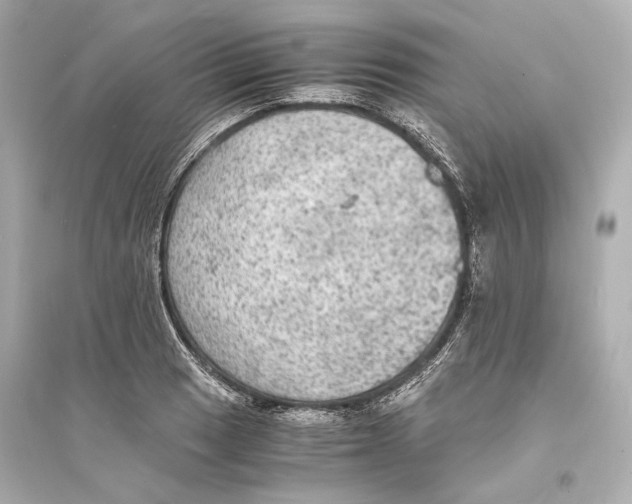 X0000093731033200711131033
