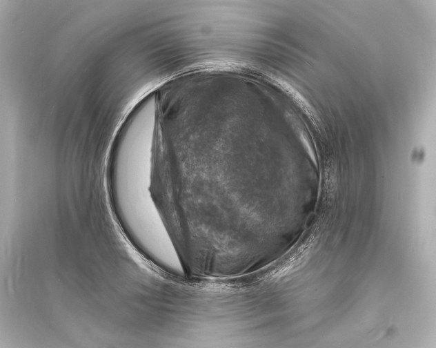 X0000093731034200711131033