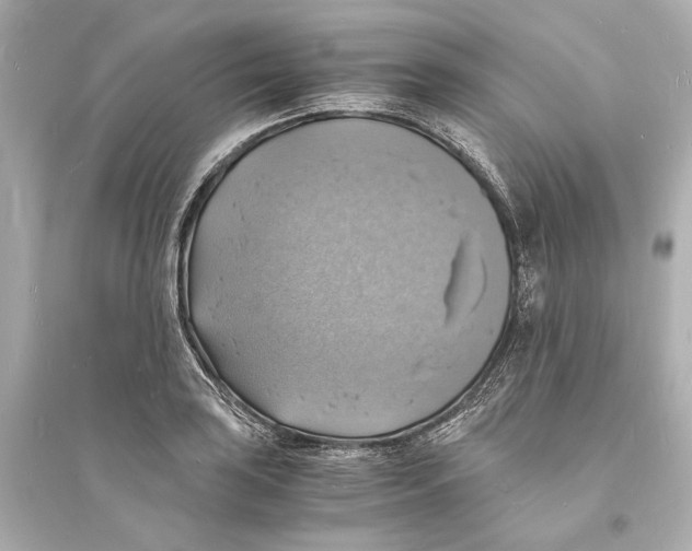 X0000093731035200711131033