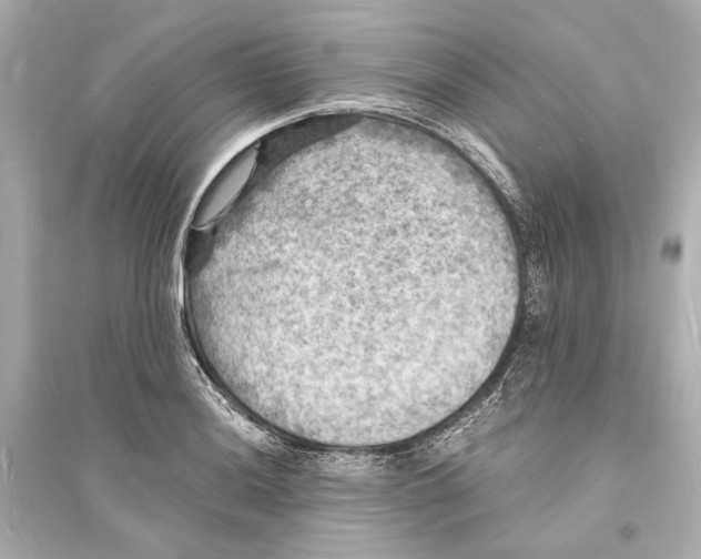 X0000093731036200711131033