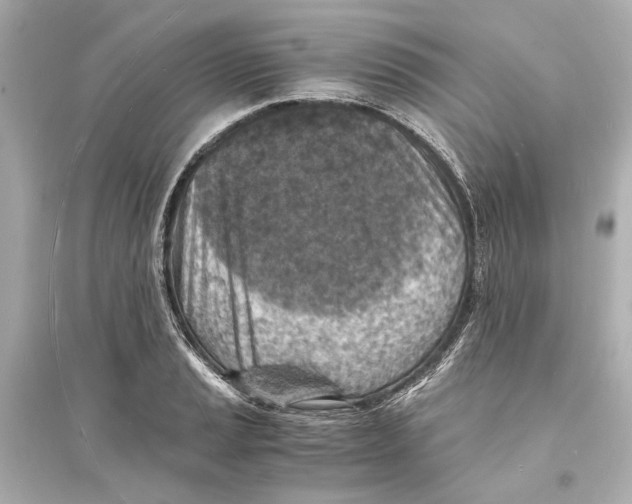 X0000093731037200711131033
