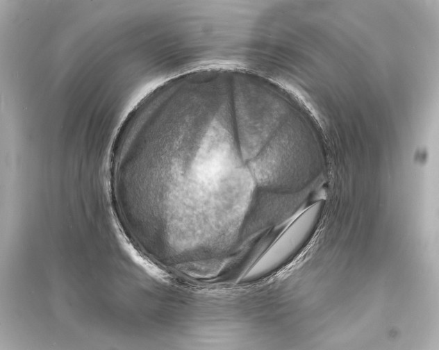 X0000093731038200711131033