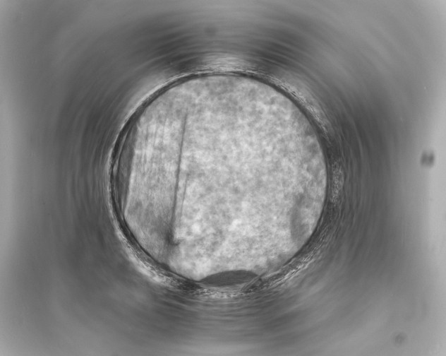 X0000093731039200711131033