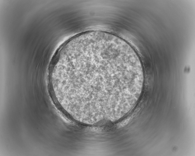 X0000093731040200711131033