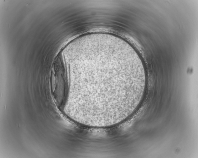 X0000093731041200711131033