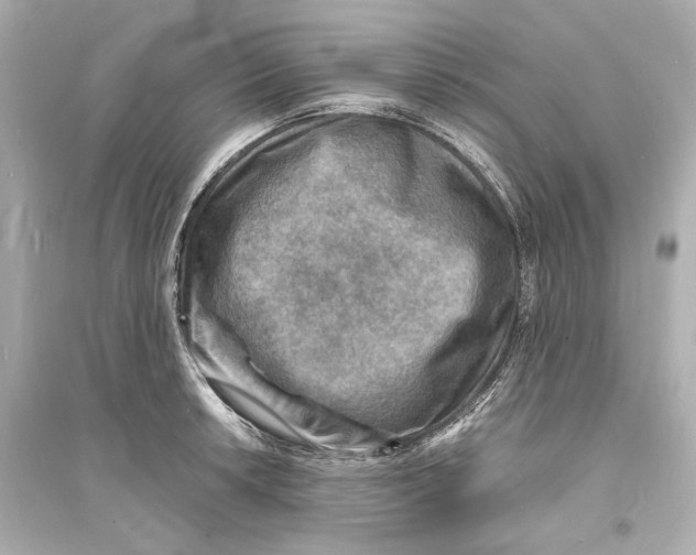 X0000093731042200711131033