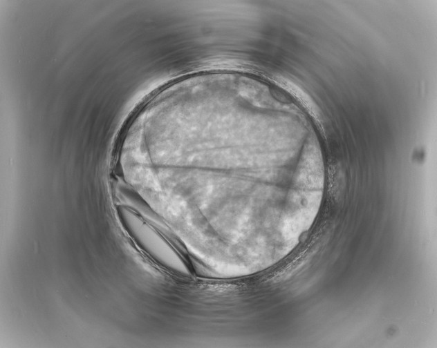 X0000093731043200711131033