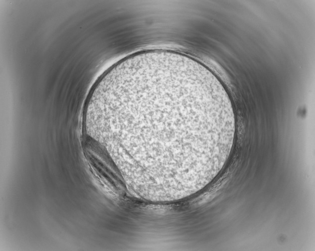X0000093731044200711131033