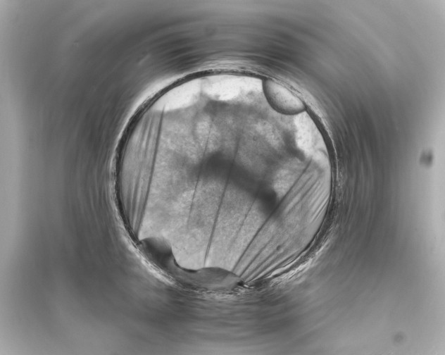 X0000093731045200711131033