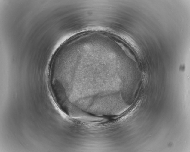 X0000093731046200711131033
