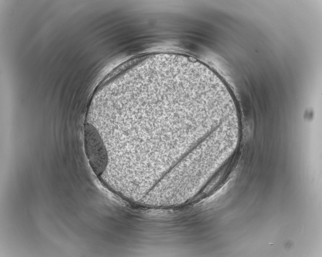X0000093731049200711131033