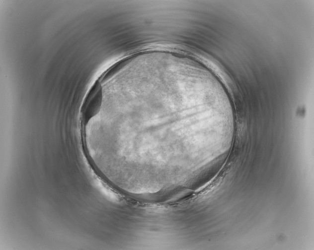 X0000093731050200711131033
