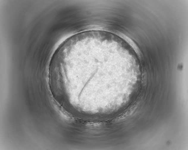 X0000093731051200711131033