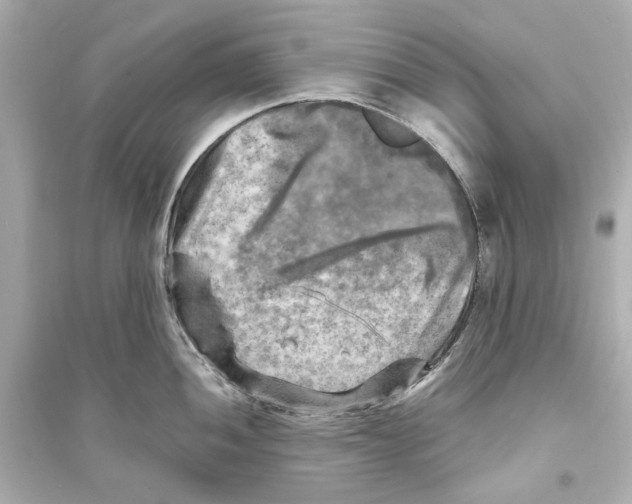 X0000093731052200711131033