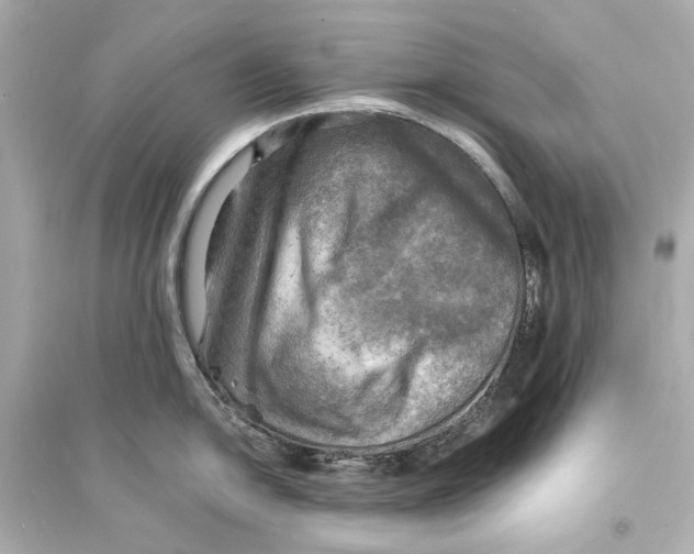X0000093731054200711131033