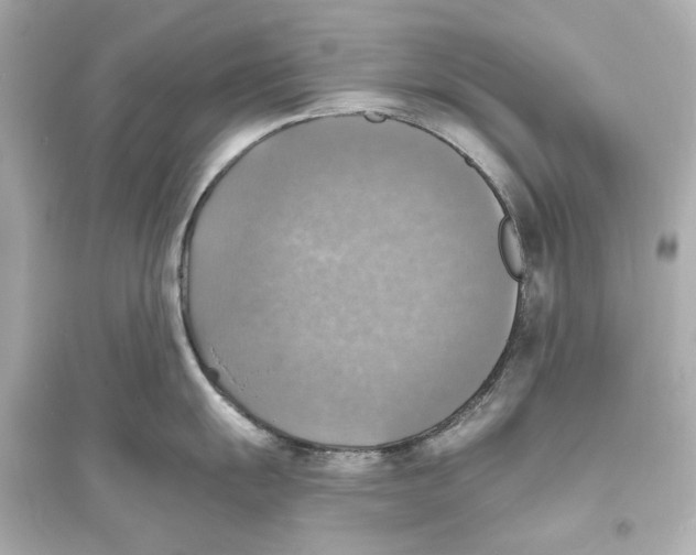 X0000093731055200711131033