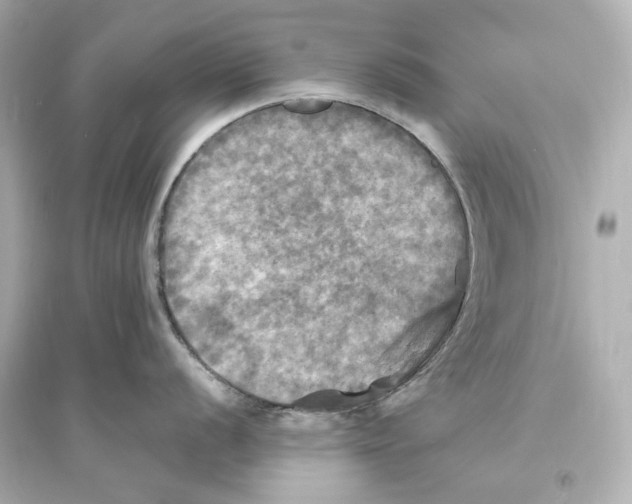 X0000093731056200711131033