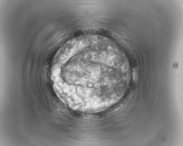 X0000093731059200711131032