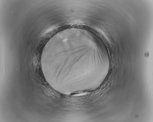 X0000093731063200711131032