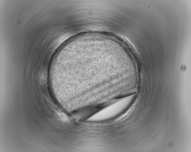 X0000093731065200711131032