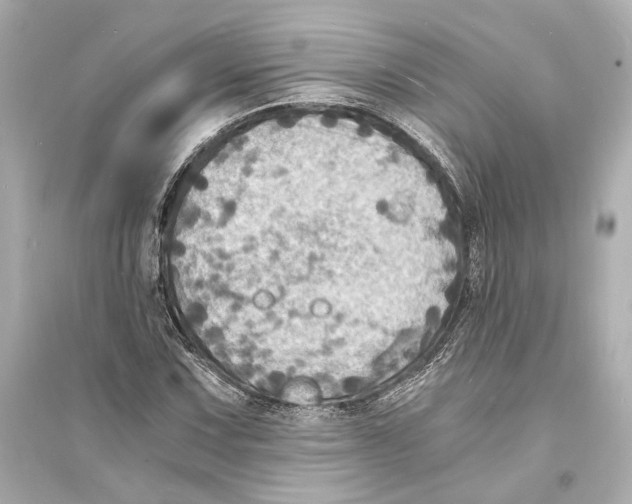 X0000093731067200711131032