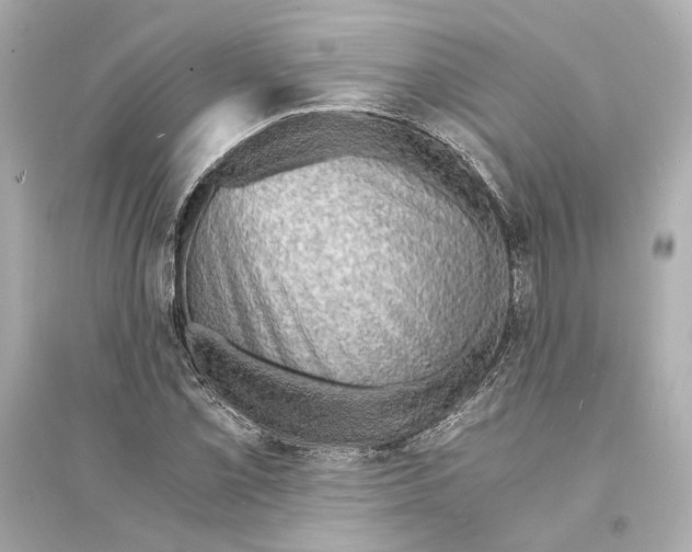 X0000093731069200711131032