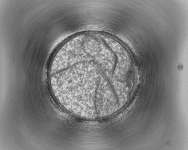 X0000093731070200711131032