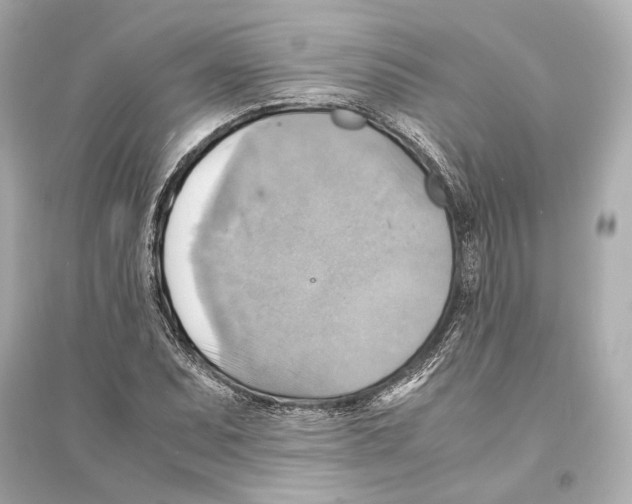 X0000093731071200711131032