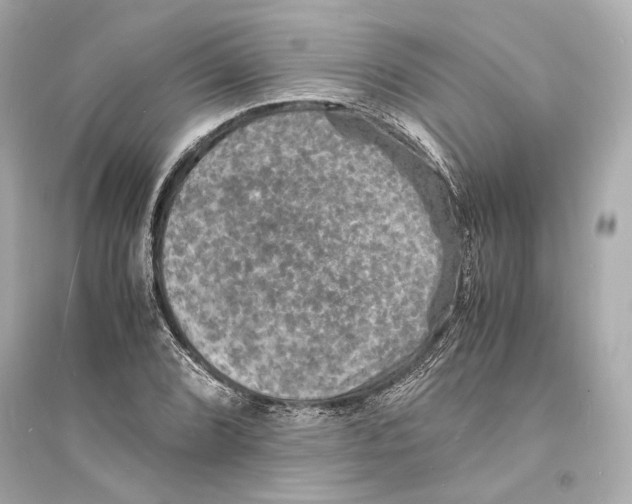 X0000093731072200711131032
