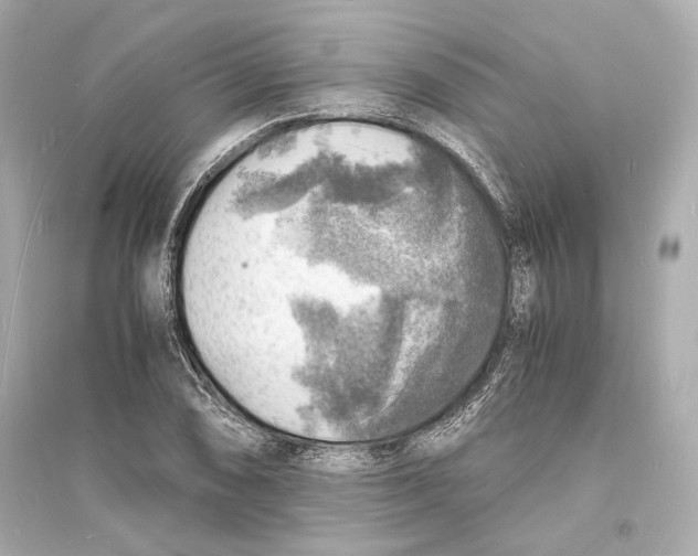X0000093731074200711131032