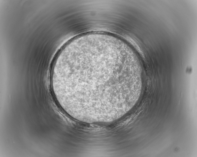X0000093731076200711131032
