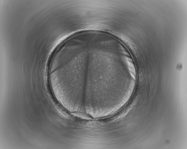 X0000093731077200711131032