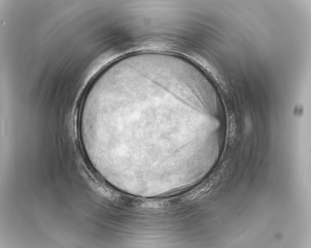 X0000093731078200711131032