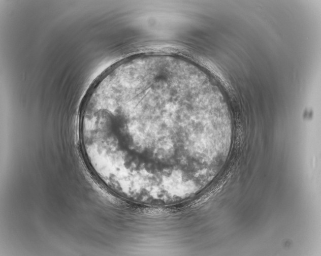 X0000093731079200711131032